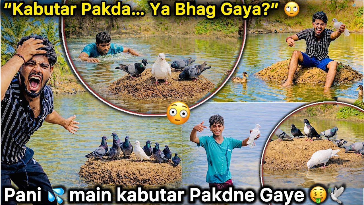 Talab 🏝️ se kabutar Pakdne Gaye 😱 || Mission kabutar 🕊️ Pakdo Pass Hua Ya Fail? 🙄