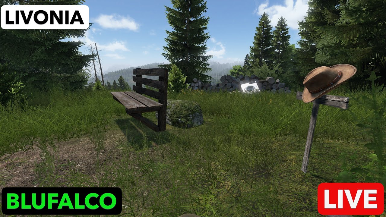 DAYZ in Livonia, on PS5.