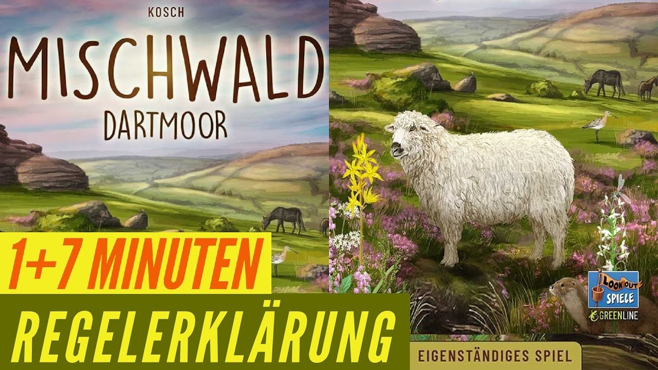 Mischwald Dartmoor Anleitung Regeln Kartenspiel Regelvideo Kennerspiel
