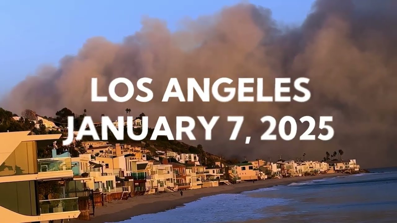 LA Firestorm: Официальный трейлер документального фильма REELZ о лесных пожарах