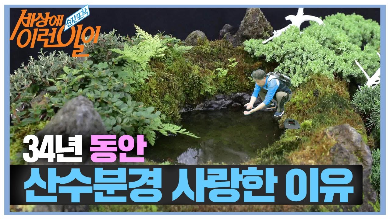 34년 동안 225개 산수분경과 사랑에 빠지게 된 이유 ㅣ순간포착 세상에 이런 일이(Instant Capture)ㅣSBS Story