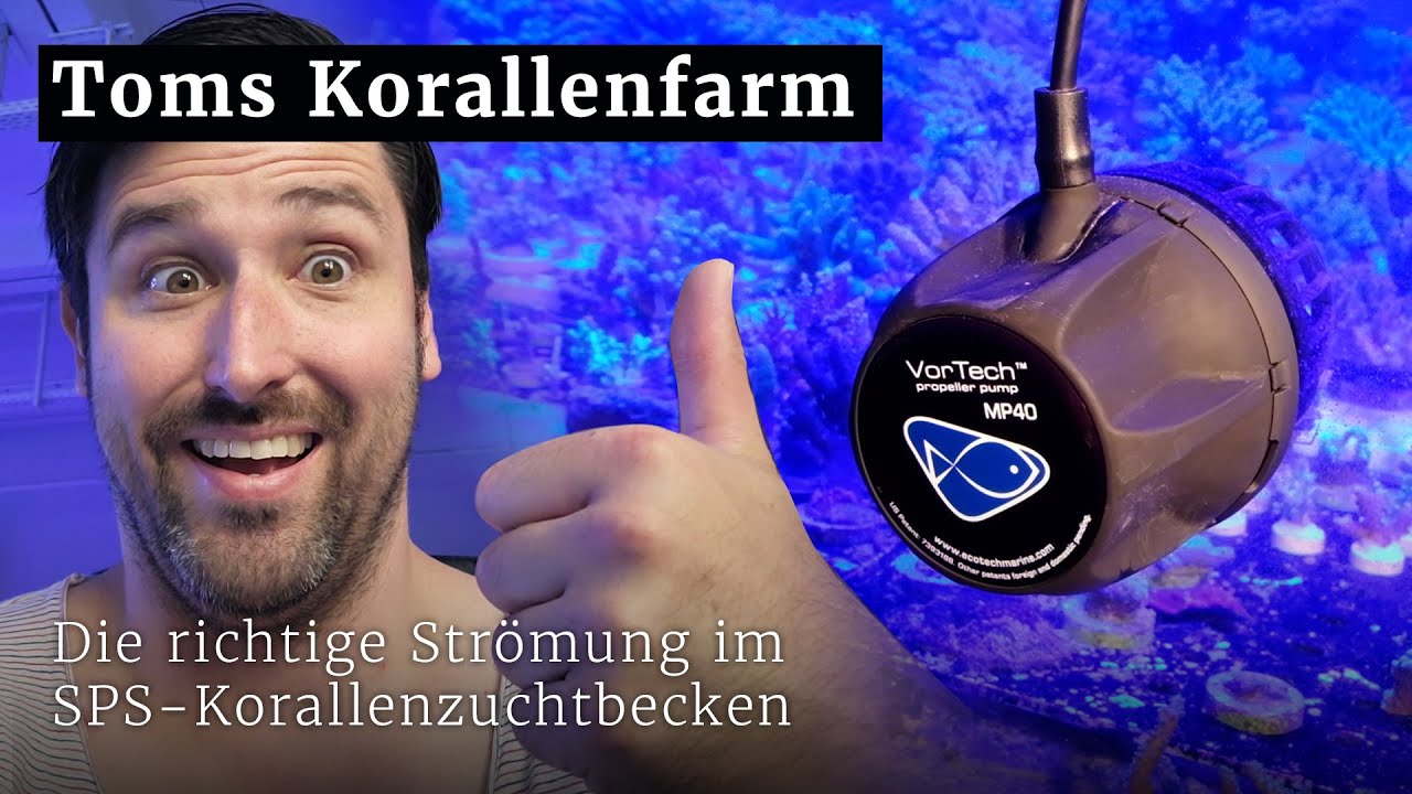 Endlich: Die richtige Strömung für die Korallenfarm - mit Ecotech Vortech MP40