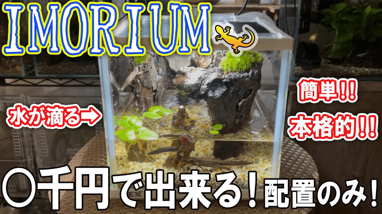 【🔰簡単】○千円で作る本格イモリウム！