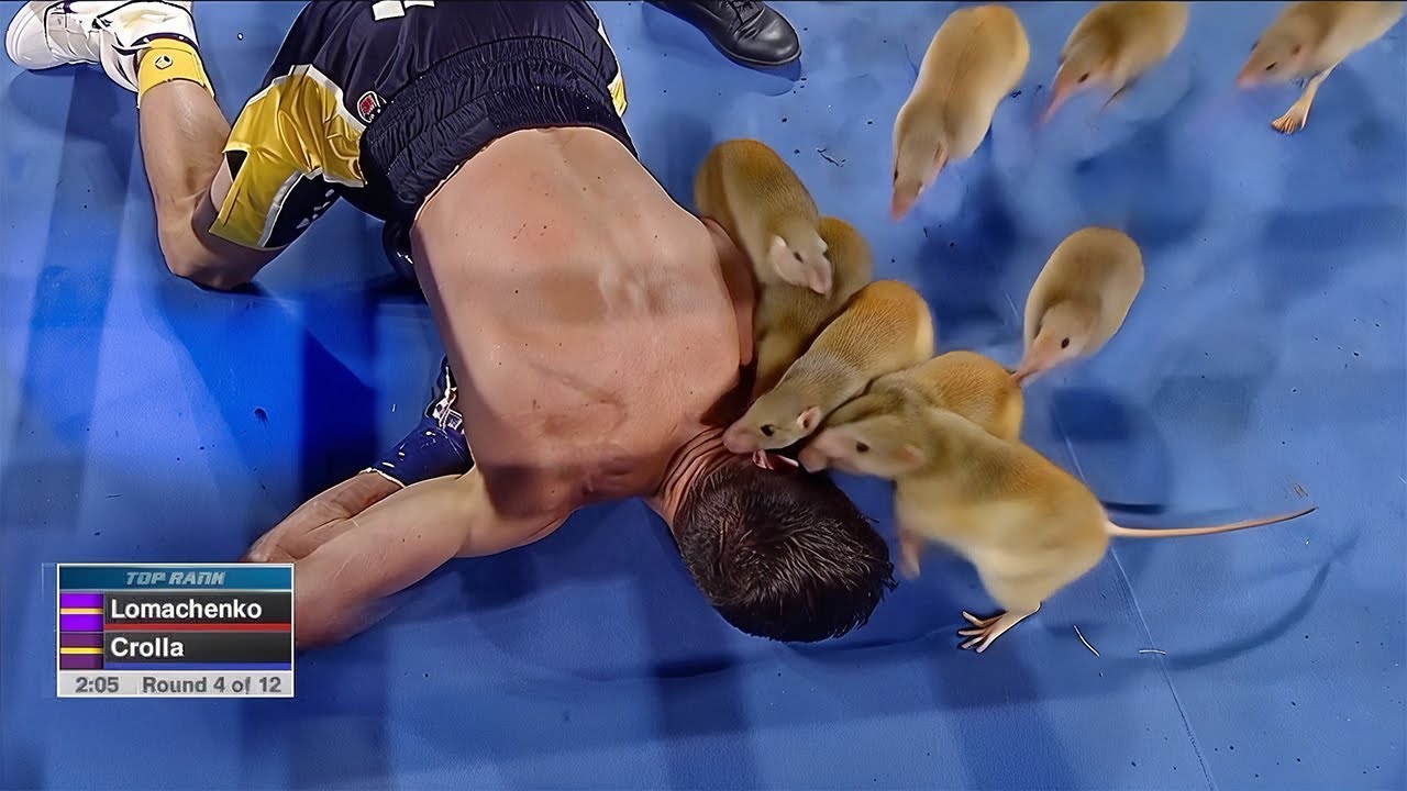 When AI Ruins Perfect Boxing Knockouts