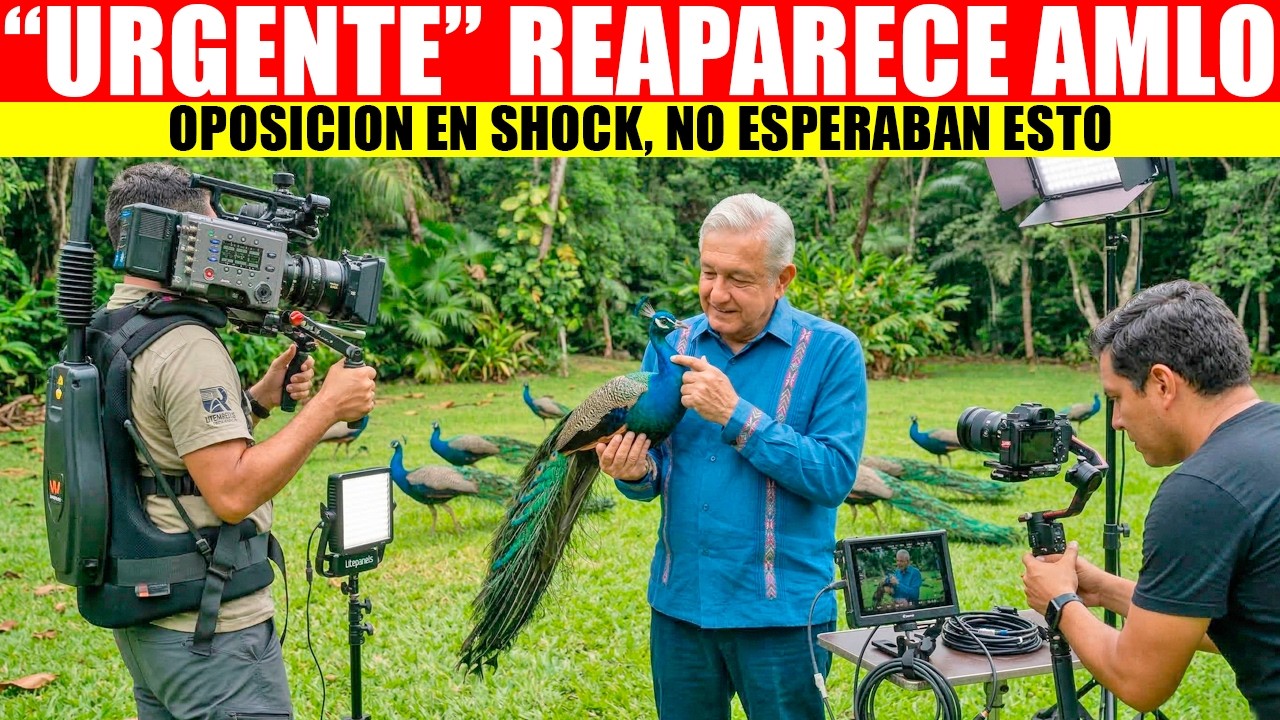 🚨🇲🇽💥MIRA:REAPARECE AMLO CON MENSAJE URGENTE, PIDE AYUDA A TODOS LOS MEXICANOS, OPOSICION EN SHOCK