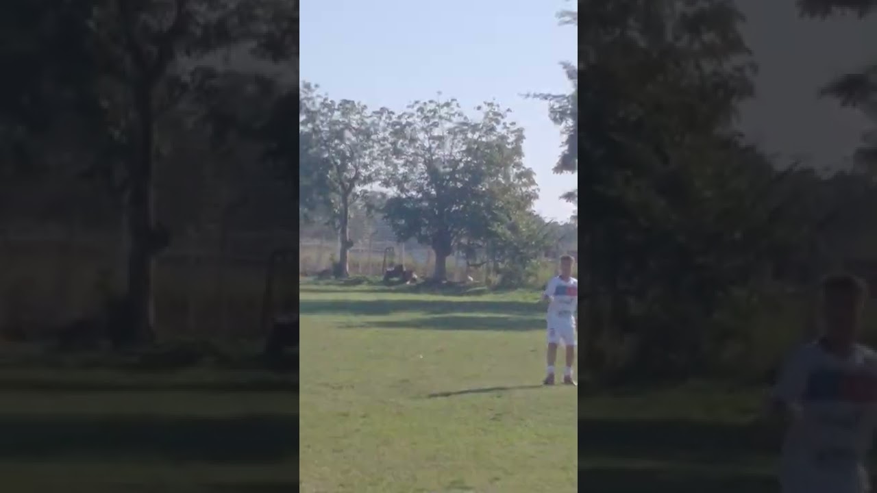 Chute ao gol