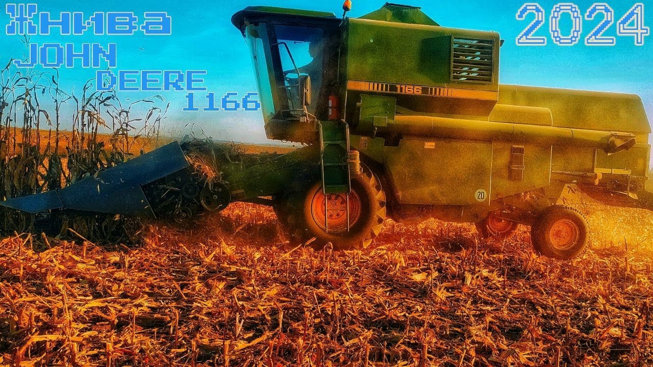 Жнива кукурудзи 🌽.2024❗️ Комбайном JOHN DEERE 1166, Газ-53й.
