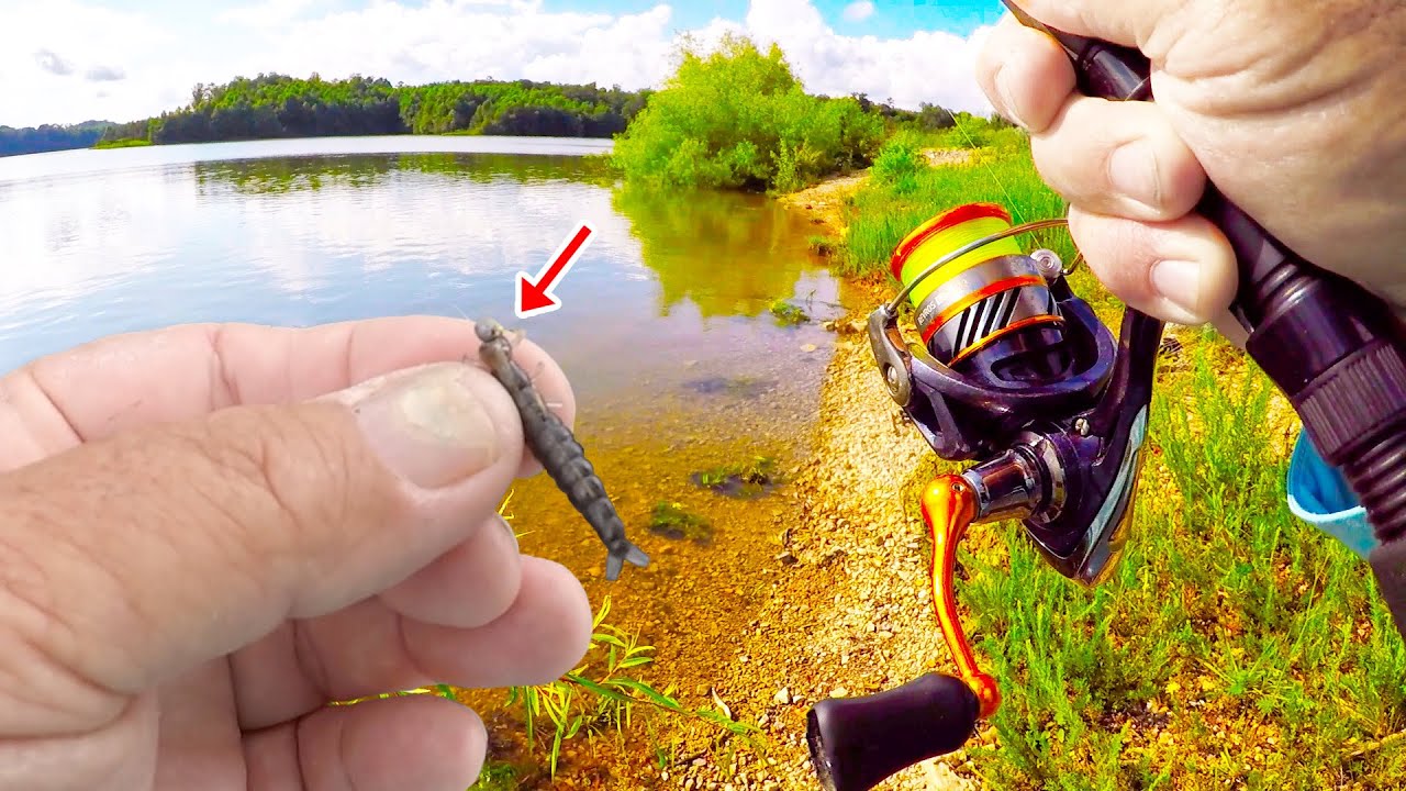 If You Like To Eat Bream THIS Bait Is A Bream Catching Machine!