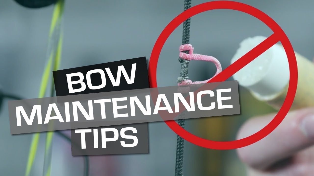 Tipps zur Bogenpflege