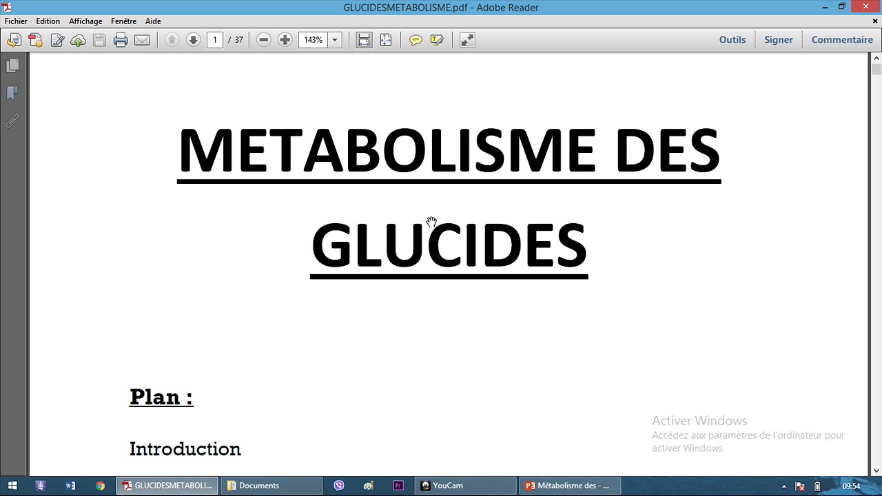 Métabolisme des glucides 1