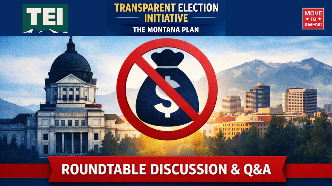 Introducing the Transparent Election Initiative (Roundtable Discussion)