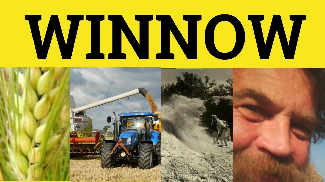 🔵 Значение слова &laquo;Winnow&raquo; &mdash; Определение &laquo;Winnow Out&raquo; &mdash; Примеры &laquo;Winnow Down&raquo; &mdash; Определение &laquo;Winno...