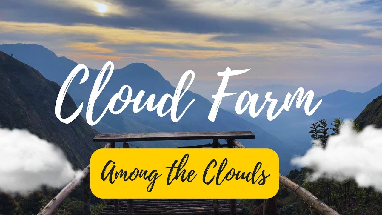 Cloud Farm - Among the clouds