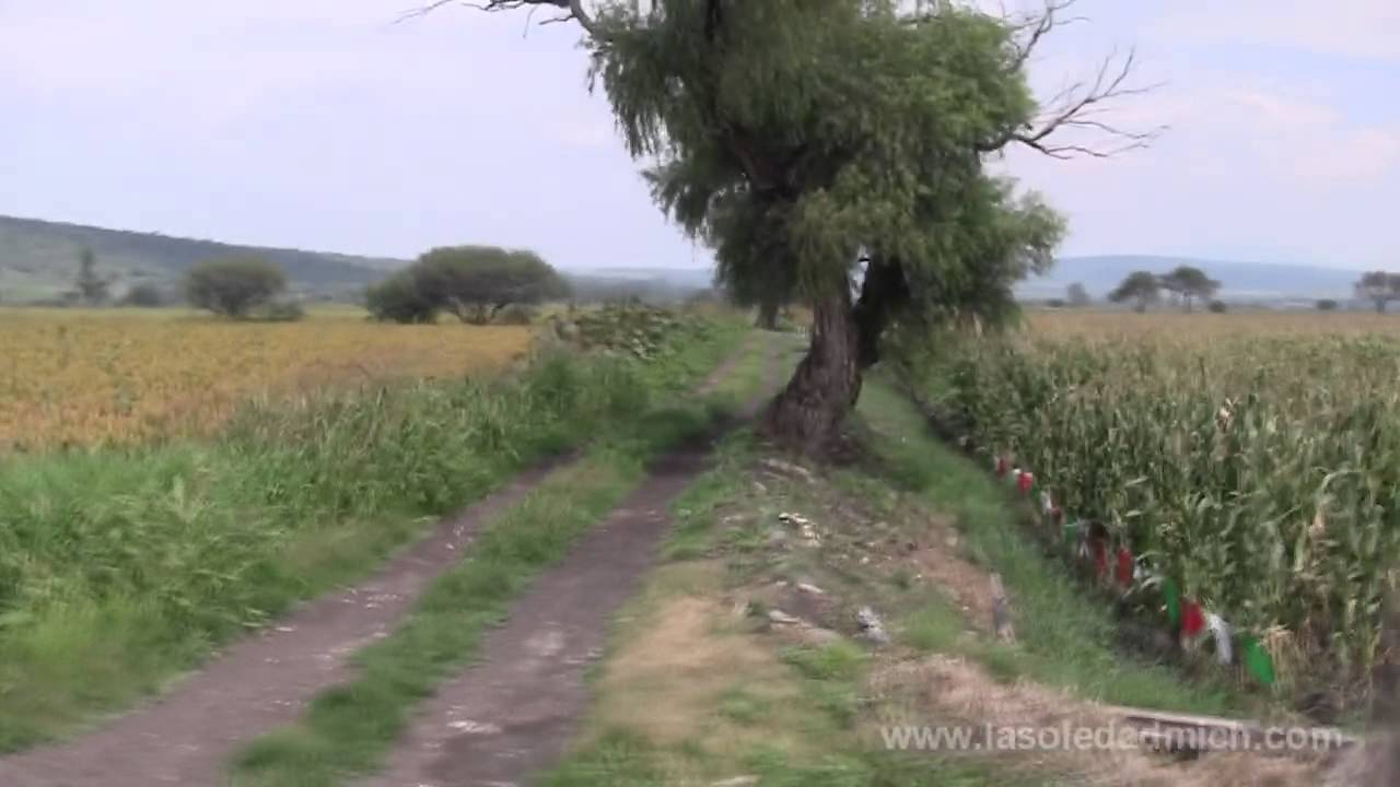 Un Recorrido Por el Plan En La Soledad