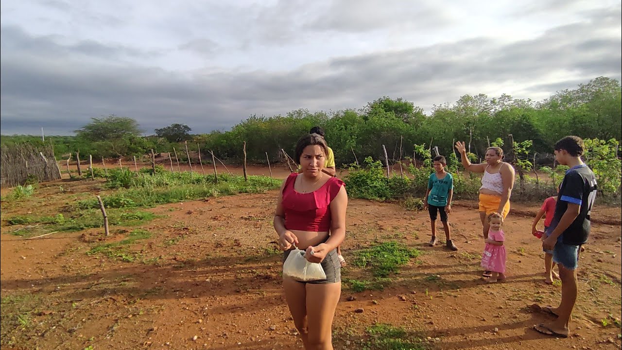 Plantando semente de jerimum