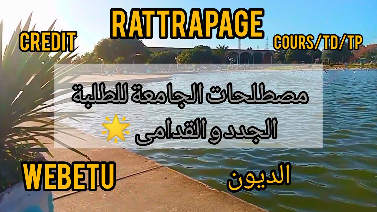 مصطلحات الجامعة للطلبة الجدد و القدامى 🌟+ نصيحة لكل طالب وطالبة 📚💯