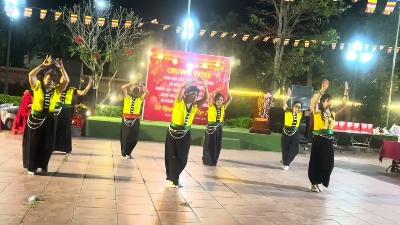 Gặp nhau giữa rừng mơ!