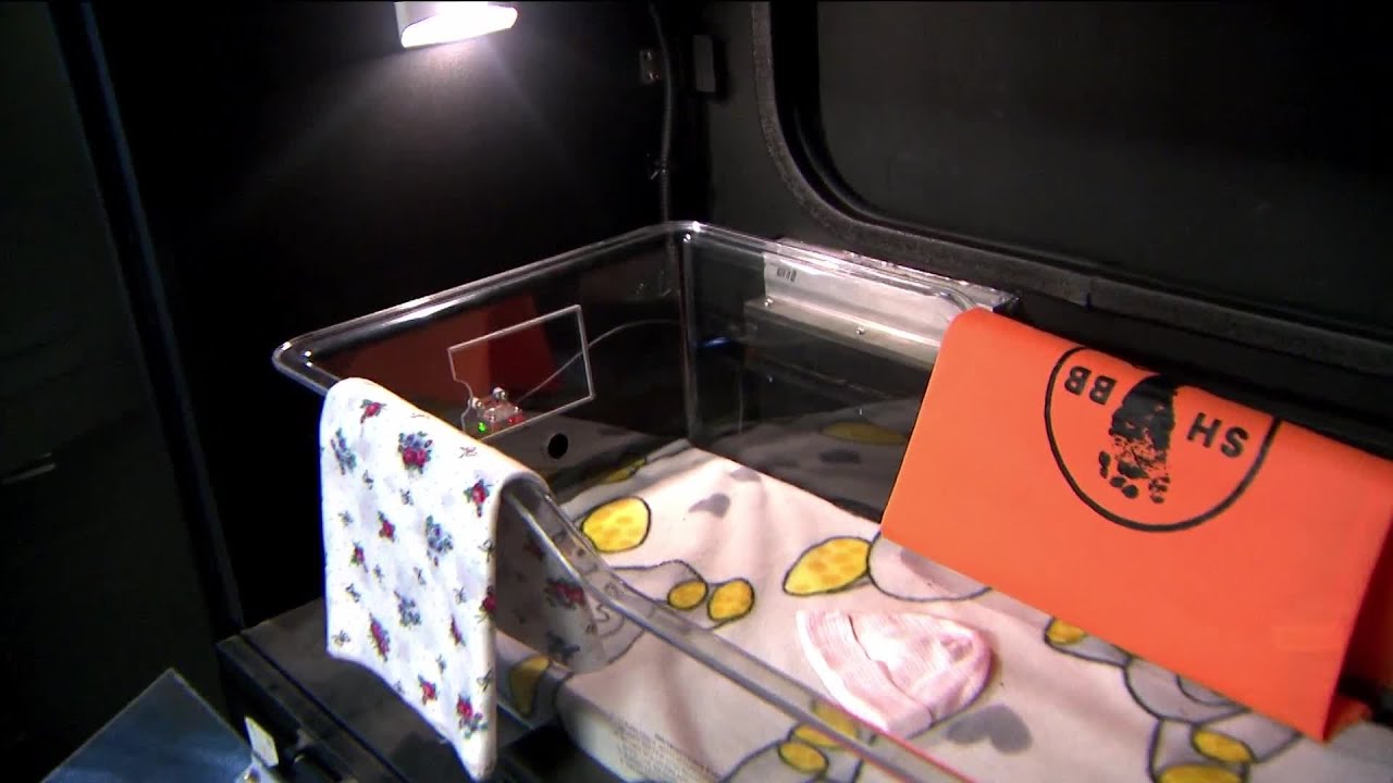 Safe Haven Baby Box saves newborn in Hendersonville, first responders praise parents' brave decision