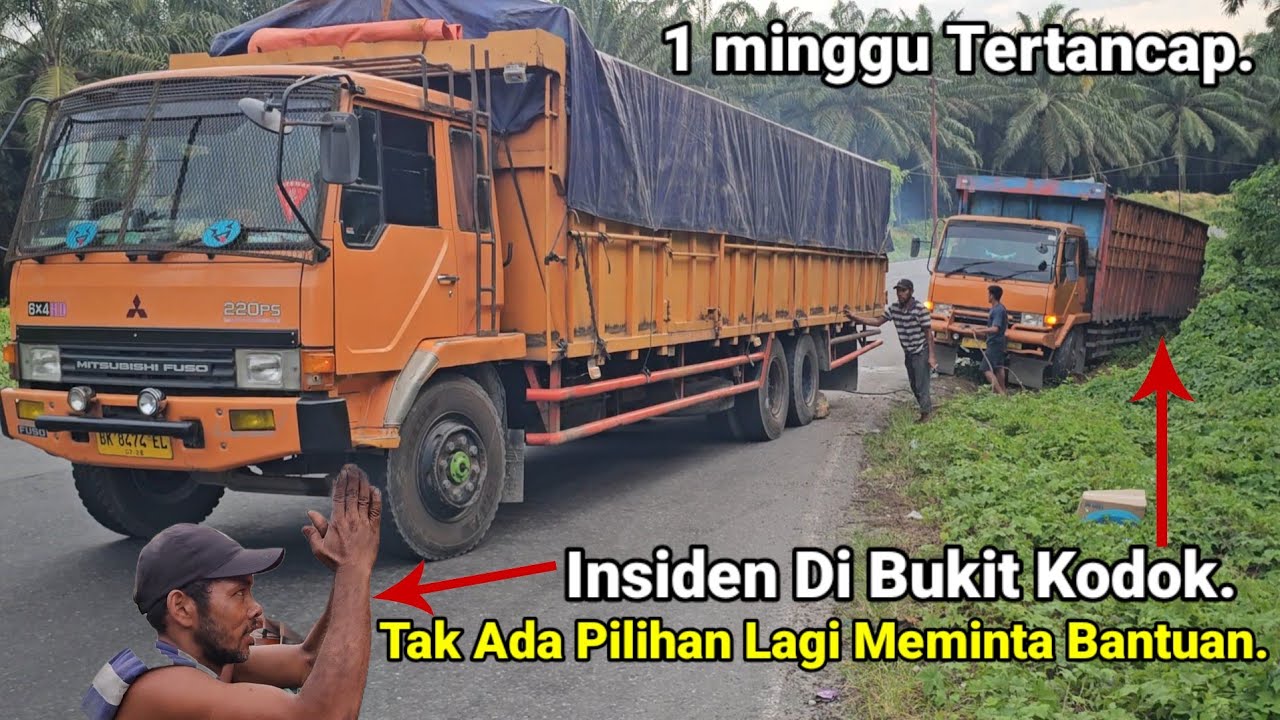 Insiden Truck Nginap Satu Minggu Di Tanjakan Bukit Kodok Tertancap.Tak Menolak Kucing Oren Menolong.