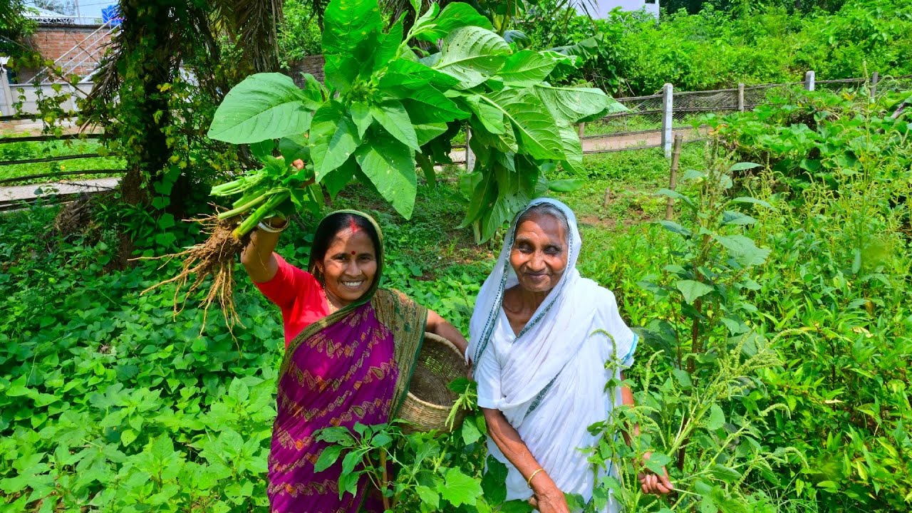 কচি কাটোয়ার ডাটা দিয়ে ডিমের রান্না সঙ্গে ডিমেশাক দিয়ে বাটিচর্চরি | Katwa Data recipe | villfood