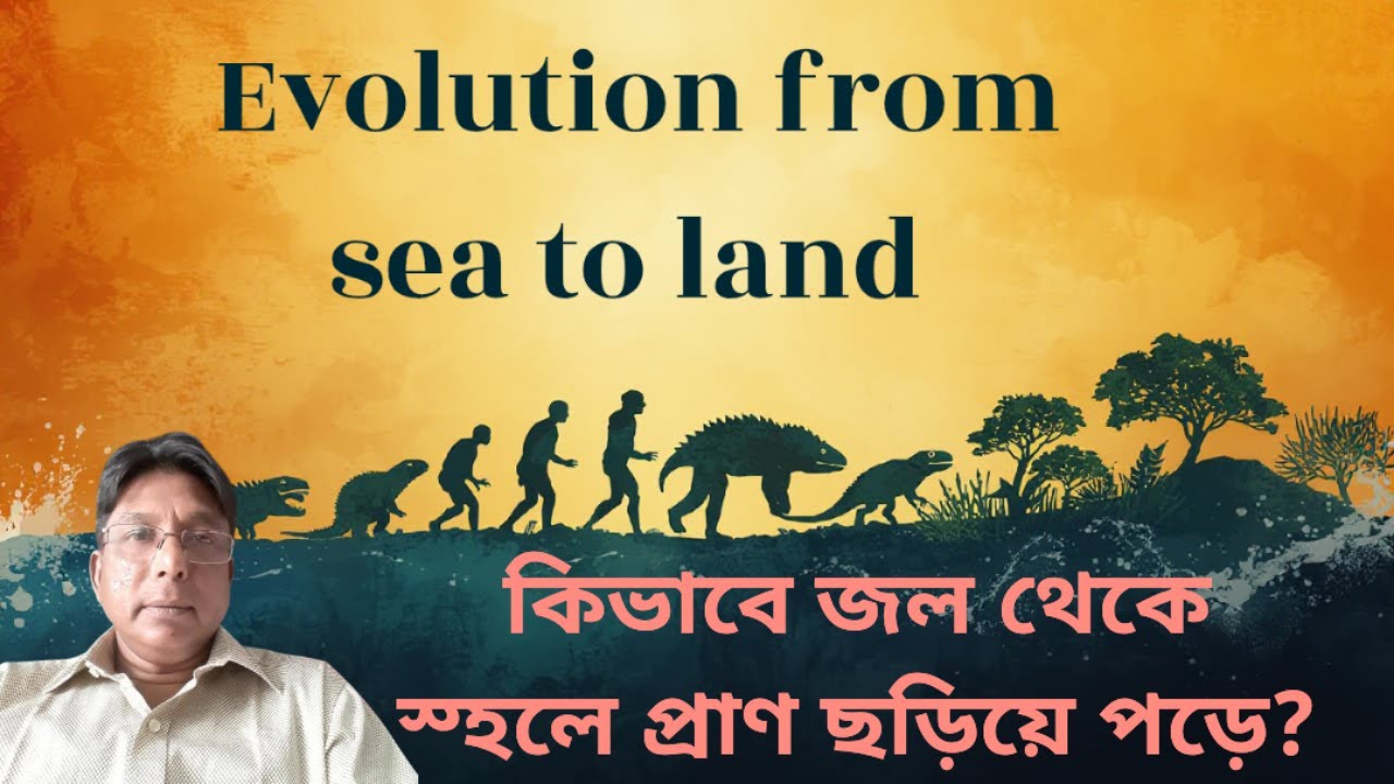 জল থেকে স্হলে প্রাণের উৎপত্তি কিভাবে ঘটেছে?