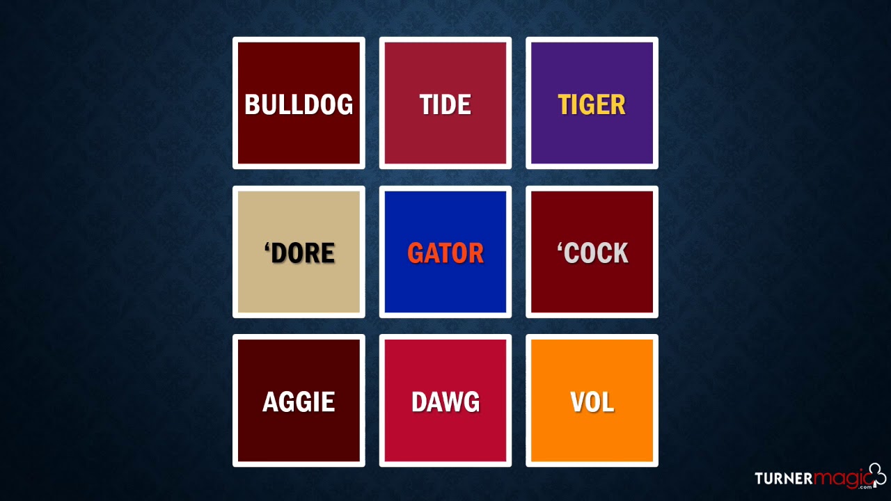 Interactive SEC Magic Trick : Customized Virtual Magic