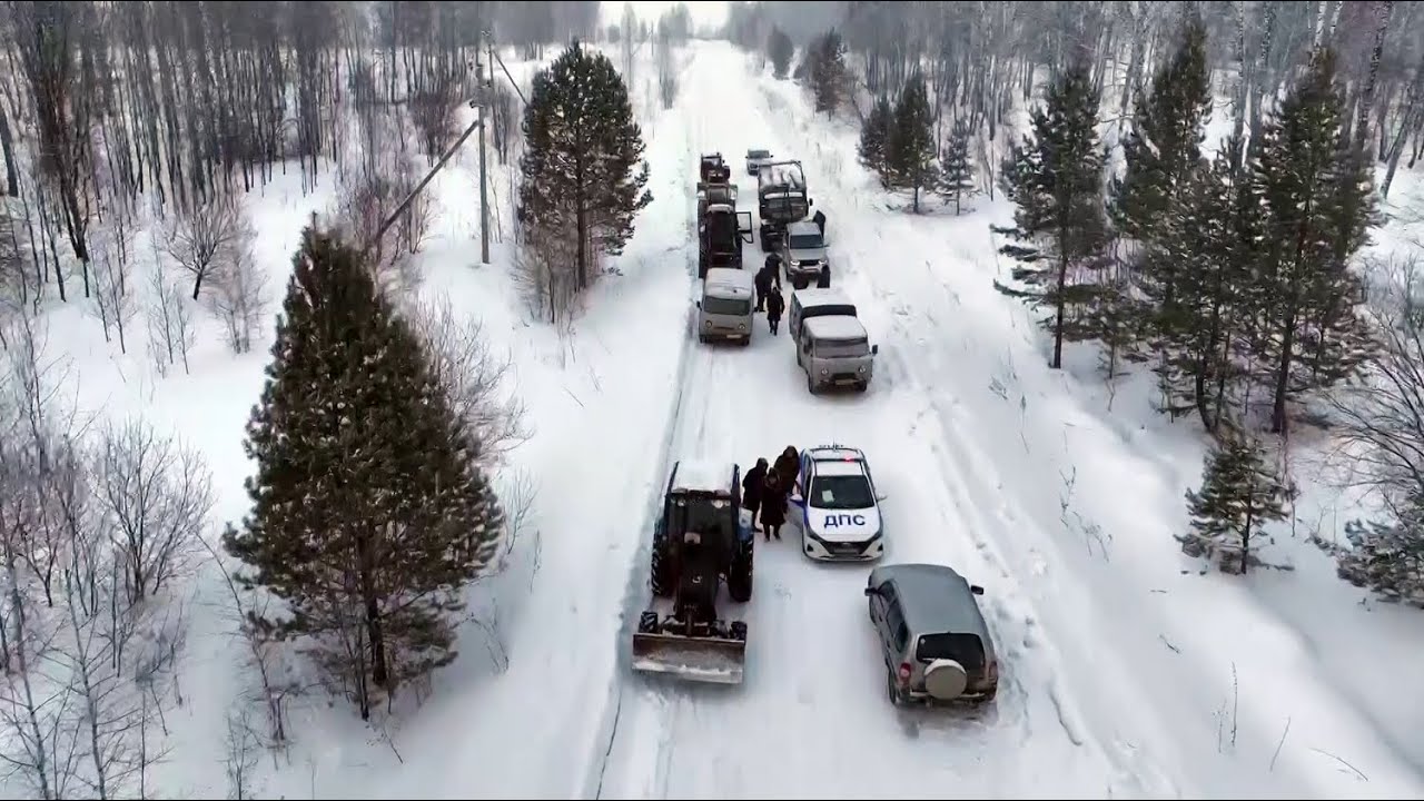 Банда «черных лесорубов» орудовала на территории Искитимского района // 
