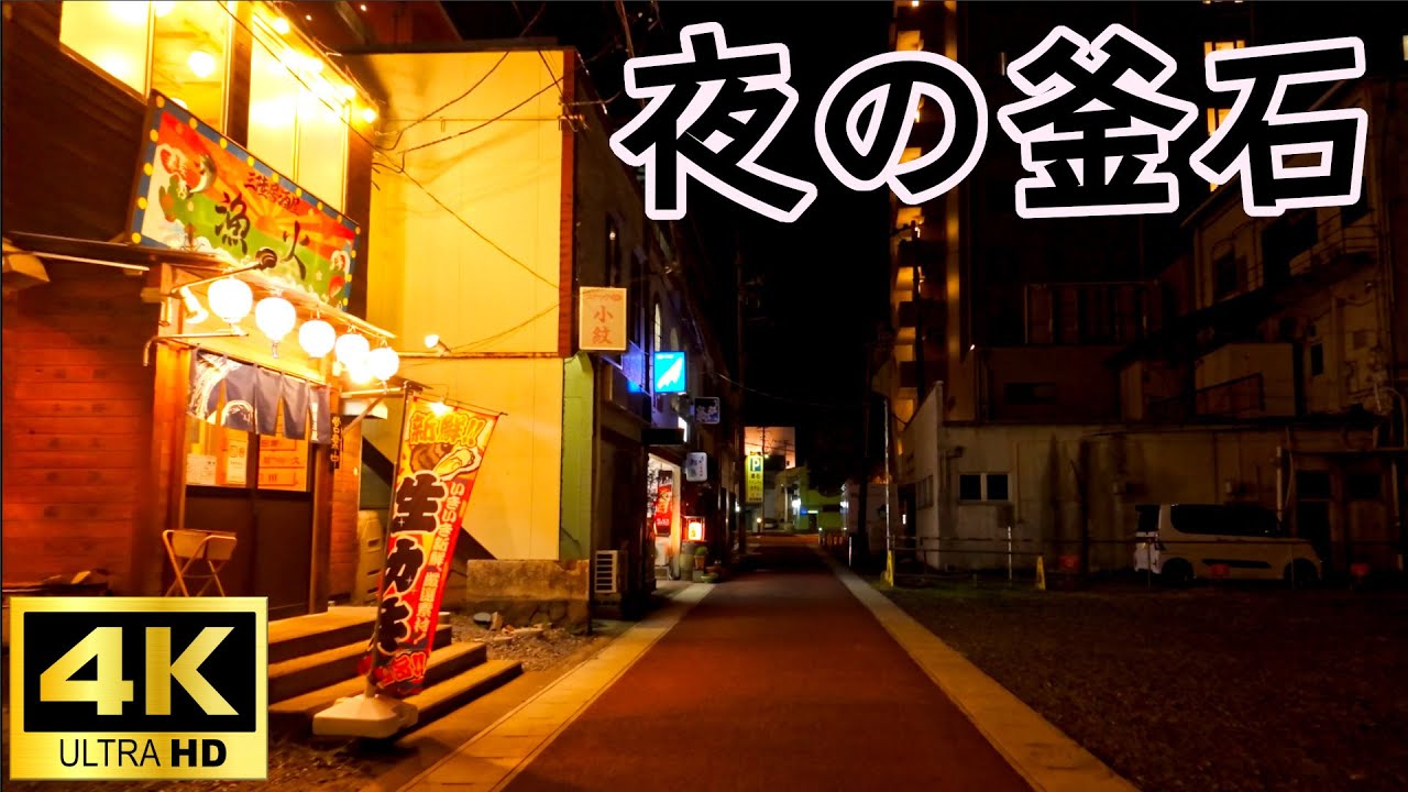 三陸・釜石　野生動物に出会った夜　Kamaishi, Sanriku The night I met wild animals