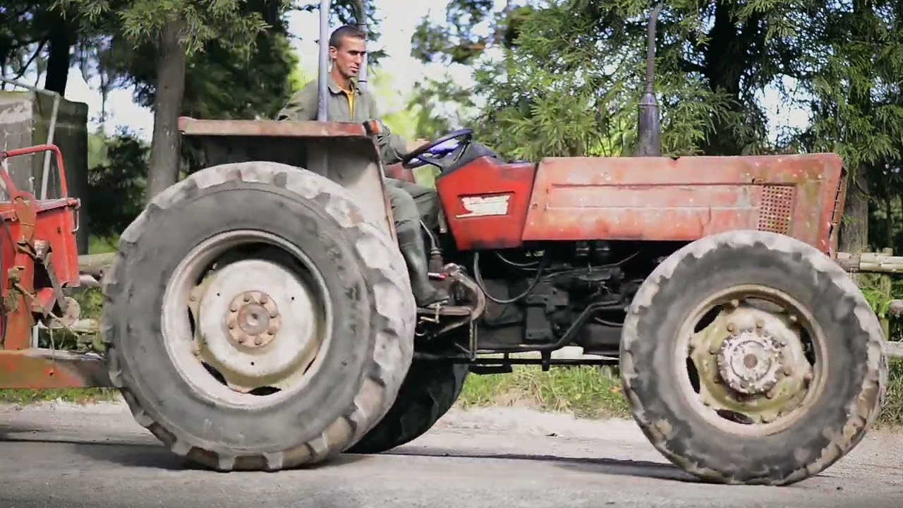 Bovinicultura | Finançor Agro-Alimentar