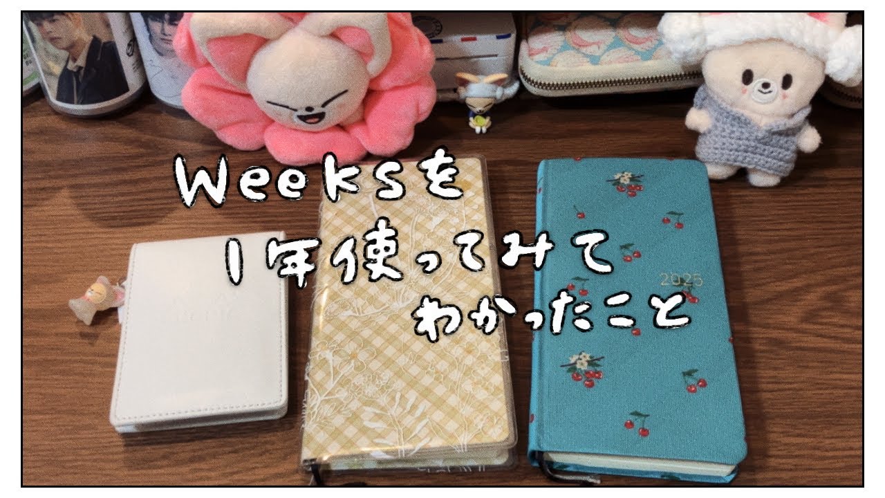 ほぼ日weeks振り返り📓来年はやめることにしました【ほぼ日手帳┊︎手帳会議2026】