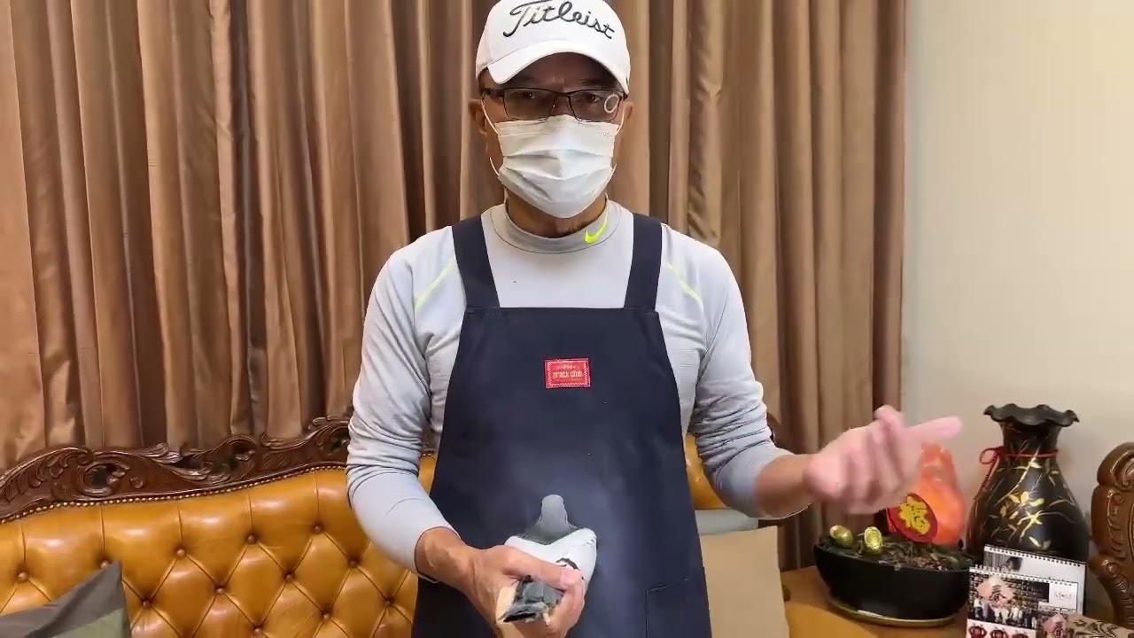 荷蘭-楊胡曼斯本舍23-9408672公（歡迎洽詢）