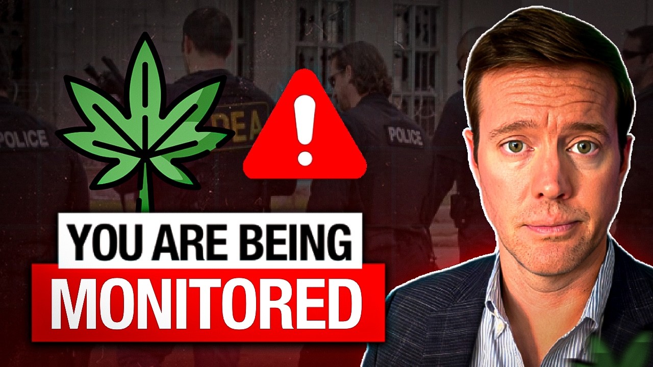 Операция DEA по борьбе с THCA в 2024 году: что будет дальше?