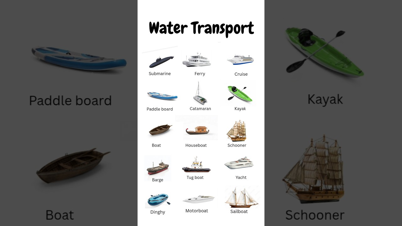 Water Transport Name in English | Learn Vehicles Name #shorts