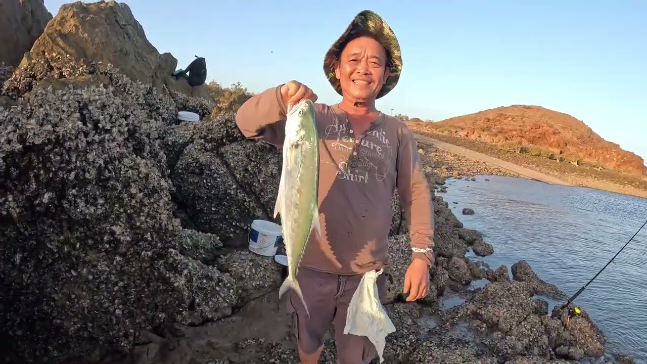 WA port Samson big queen fish on pilchards ## @ Saturday fishing with friends 