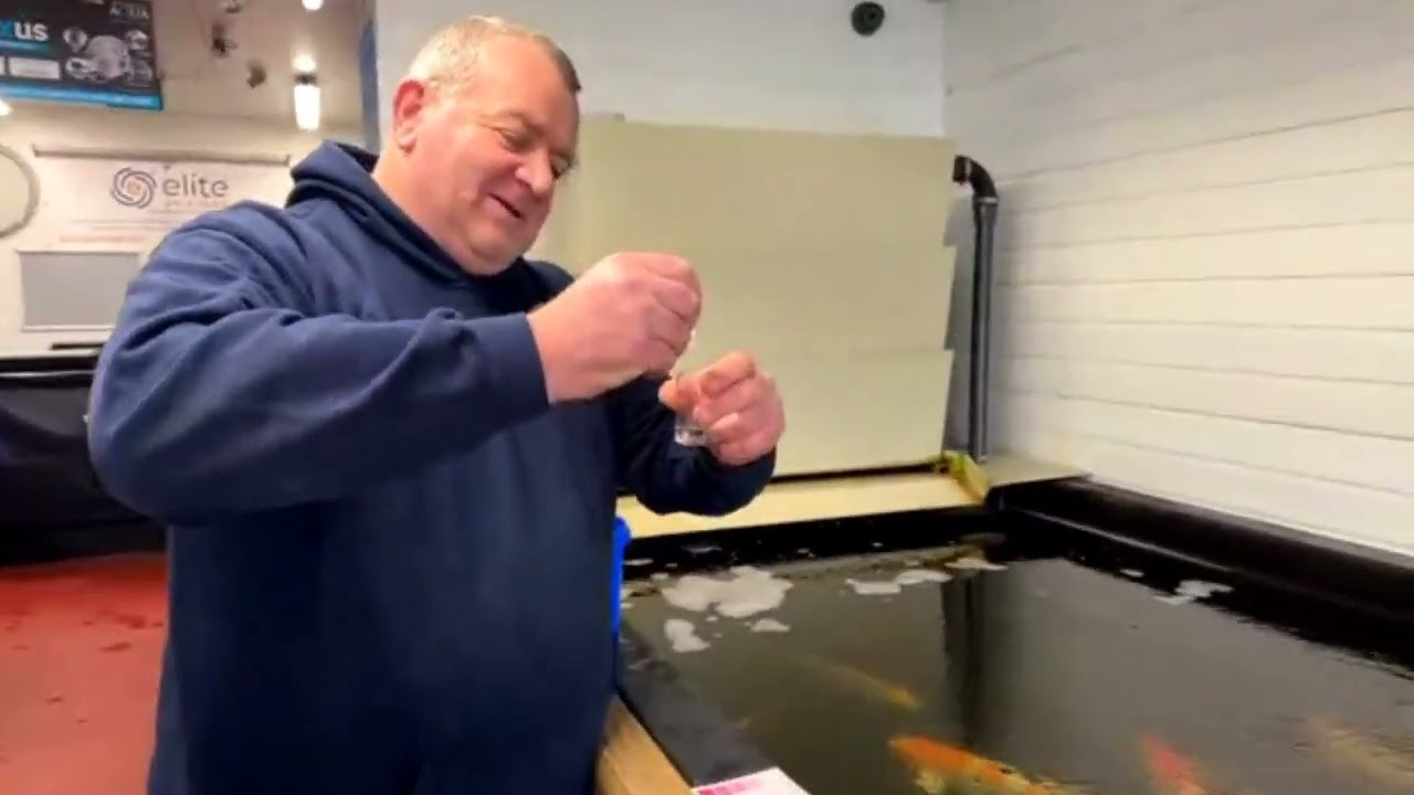 Behind the Scenes at Elite Koi! 🐟 New Japanese Koi, Quarantine, & Expert Tips