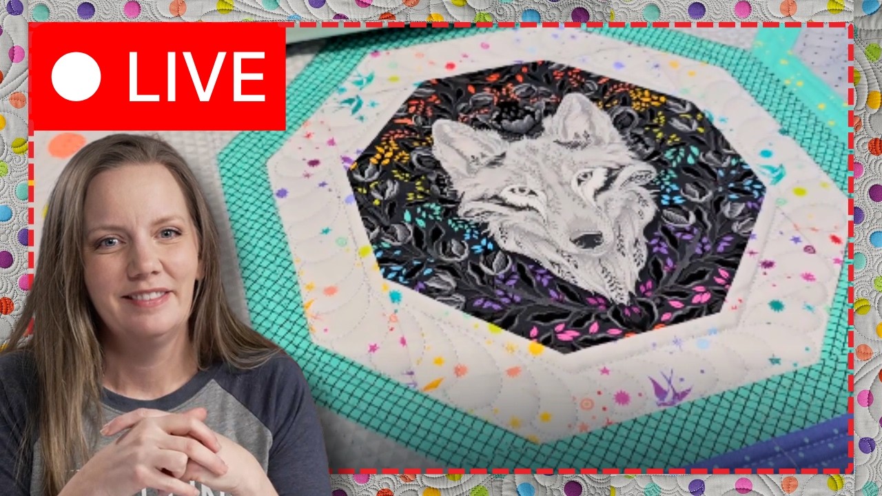 How I Quilted Tula Pink's Quilt - Live Chat with Angela Walters