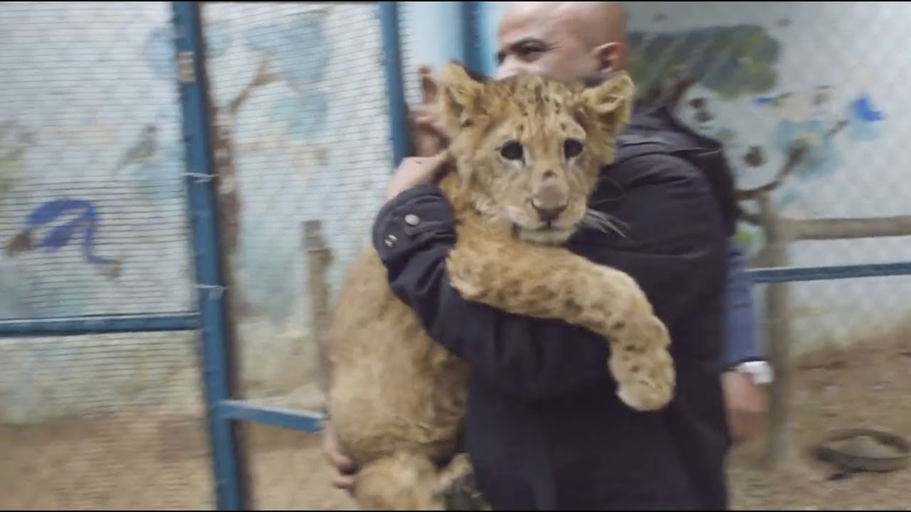 FREEDOM for zoo animals in Jordan! 😄