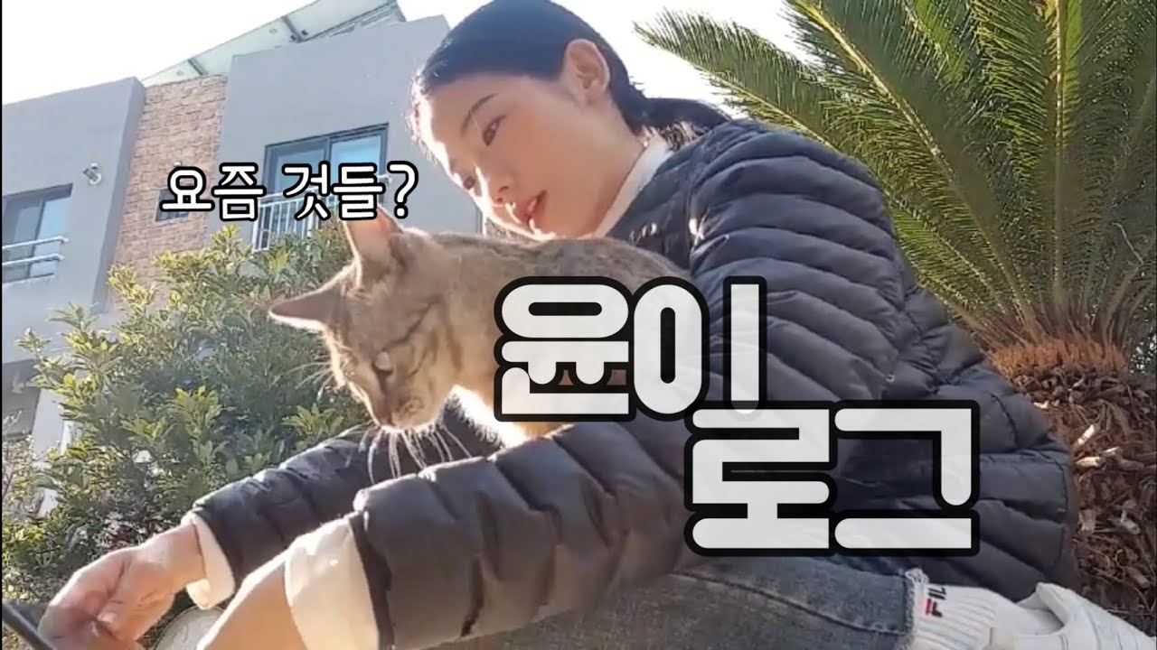 알바몬 학생의 브이로그