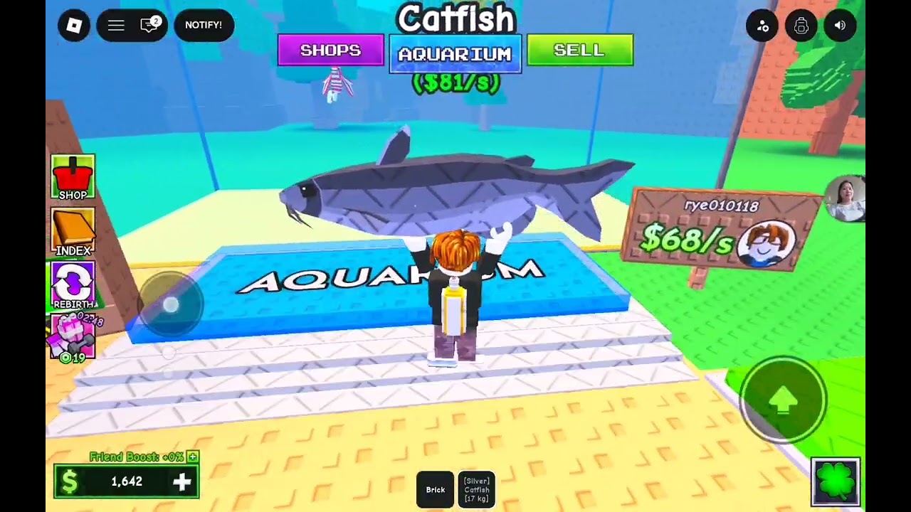 Playing dive to get fish