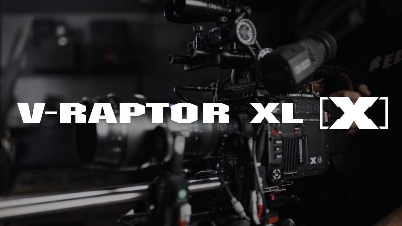 V-RAPTOR XL [X]  | 
