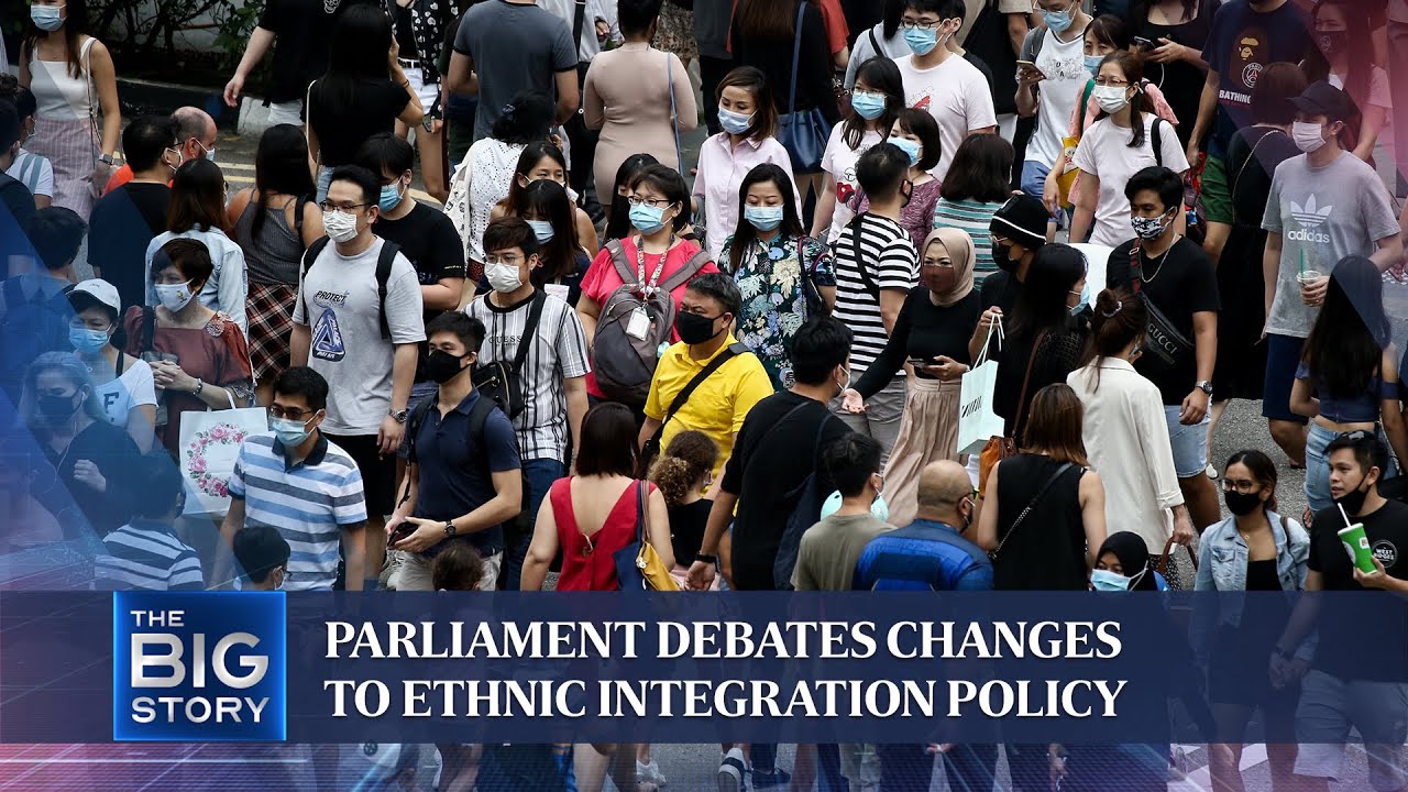 MPs debate possible changes to Ethnic Integration Policy | THE BIG STORY
