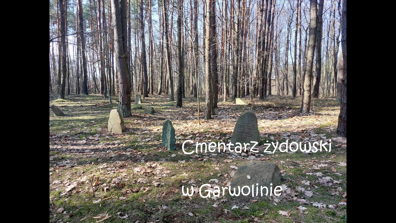 Macewy w lesie - cmentarz żydowski w Garwolinie.