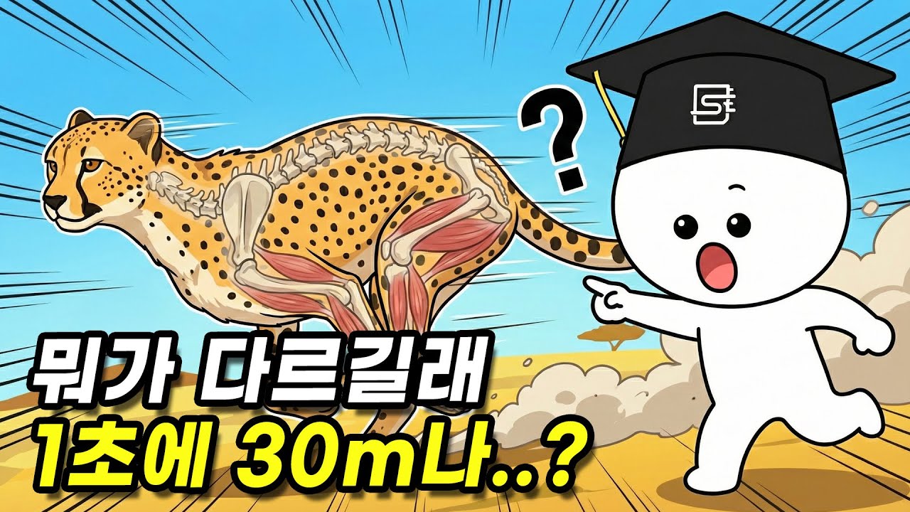 치타는 어떻게 빨리 달릴 수 있는 걸까?