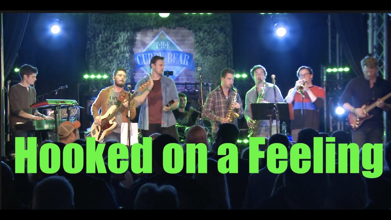 Hooked on a Feeling/Valerie/Dancing in the Moonlight (Live Cover) - The Socially Acceptable Band