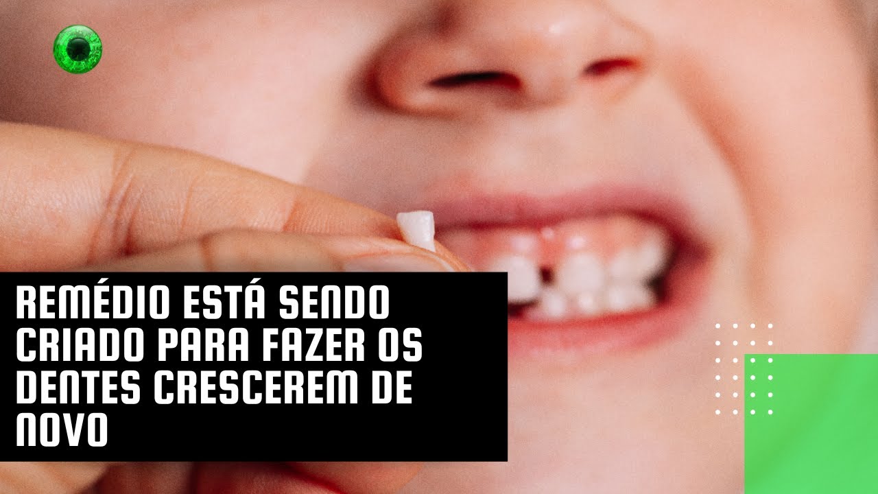 Remédio está sendo criado para fazer os dentes crescerem de novo
