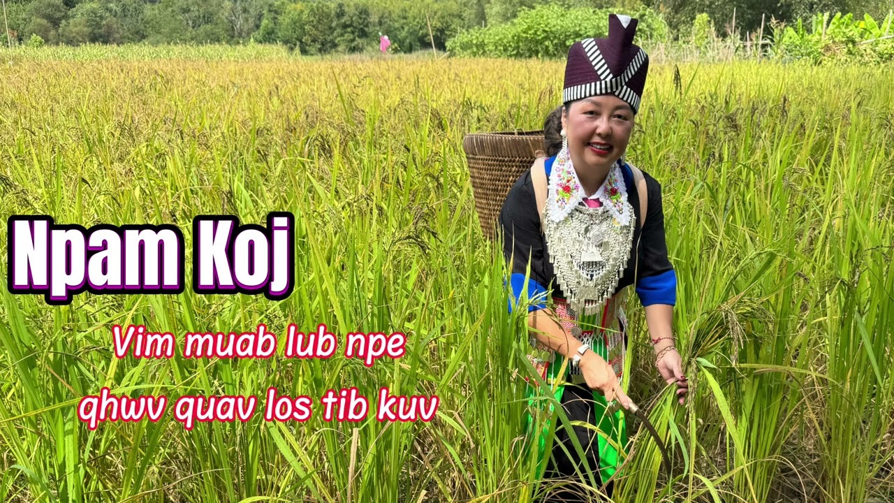 Npam Vim Muab Lub Npe Qhwv Quav Txiav Wb Kev Hlub 9-17-25