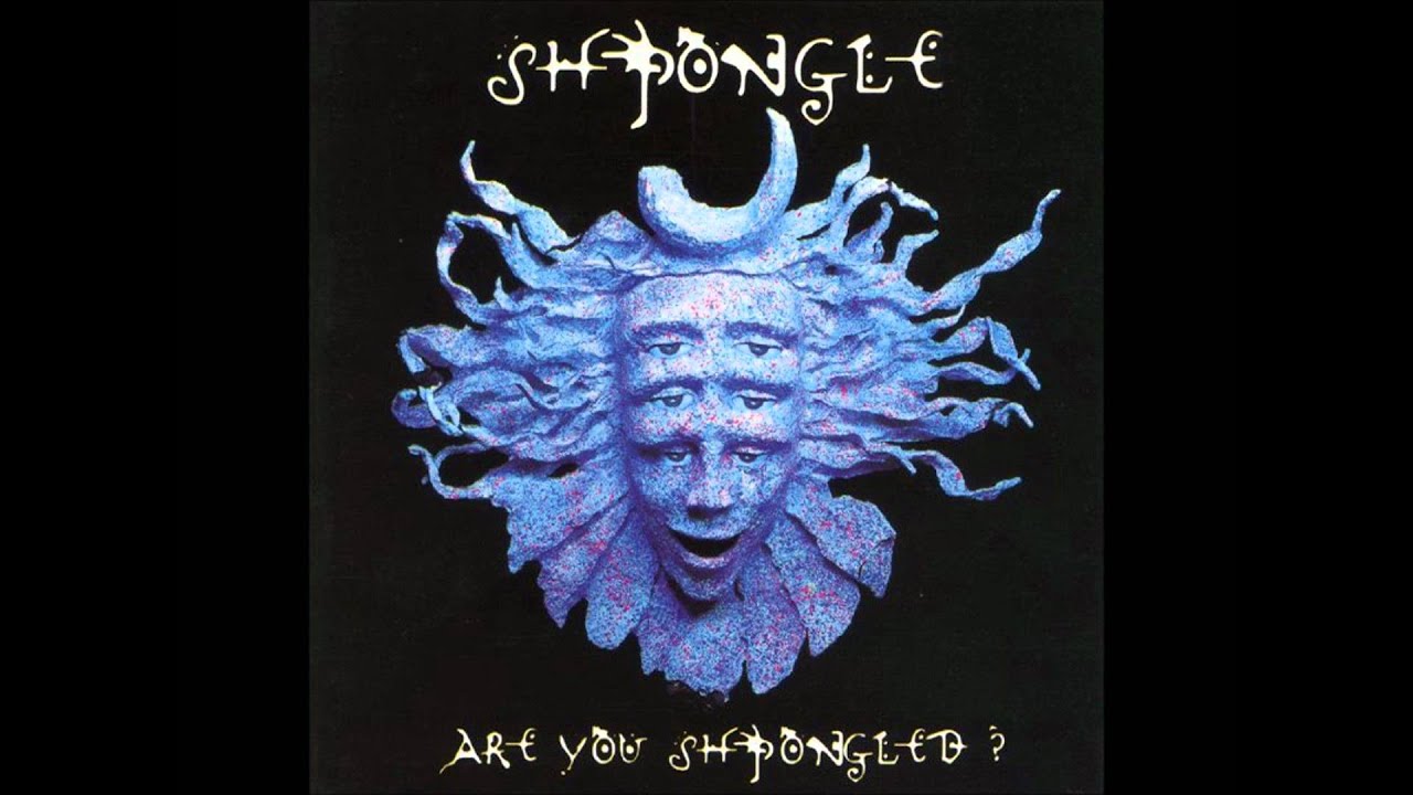 Shpongle - And the Day Turned to Night