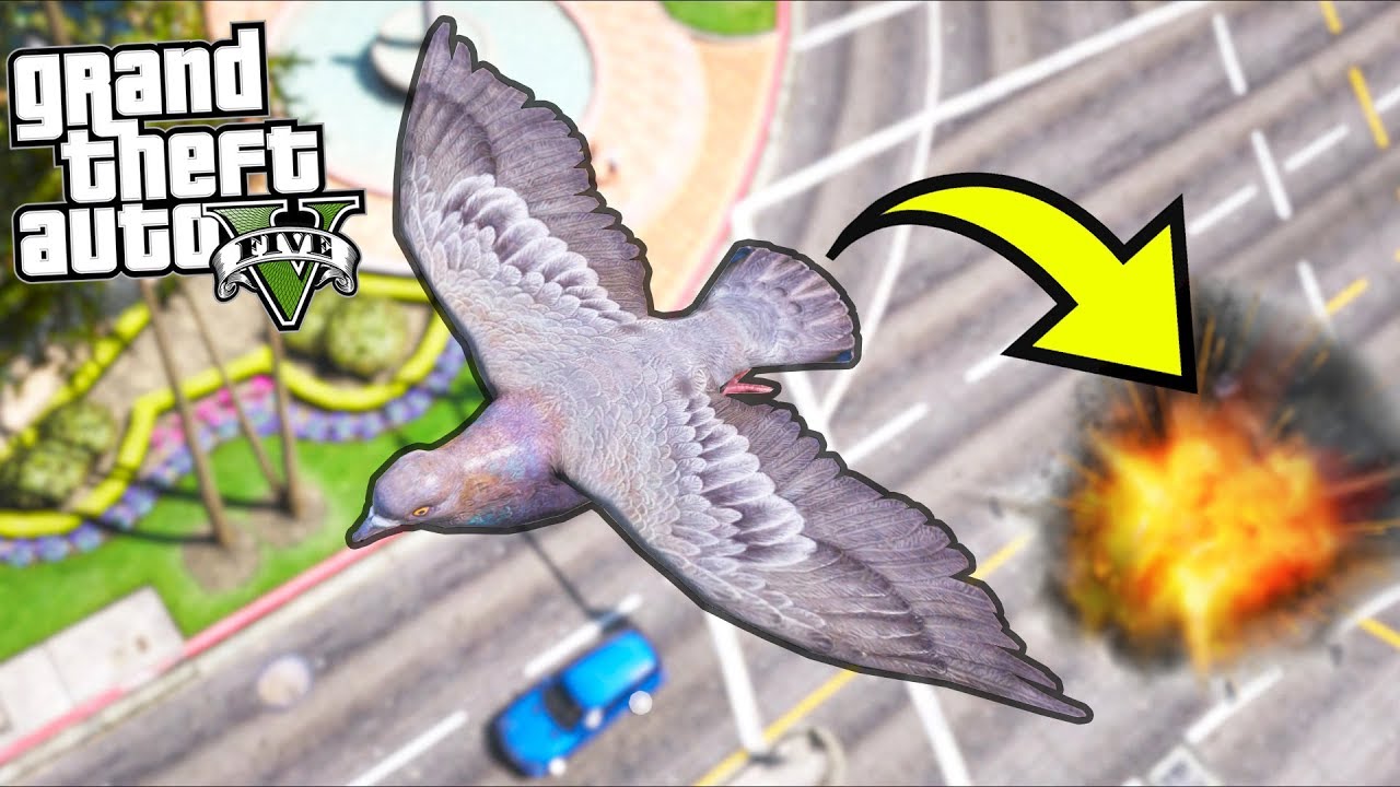 Этот голубь может сбрасывать ВЗРЫВООПАСНЫЕ какашки!! (GTA 5 Моды - Уклонение от игры)
