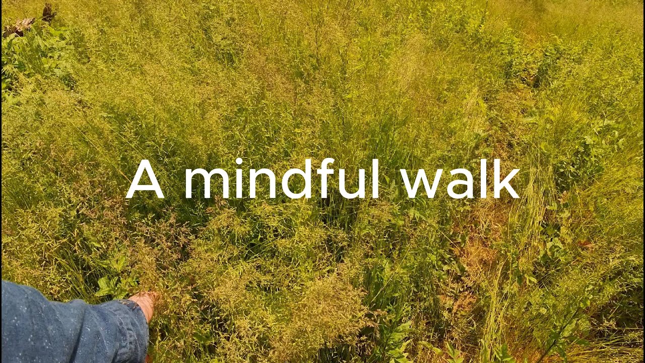 Mindful walking Chemin des 3 villages - van life, life changes, difficult things