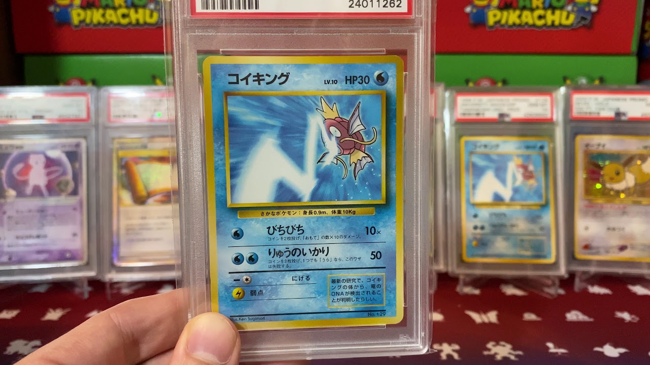 Pokemon 1998 University Magikarp Trophy Card & 2000 Fan Club Promos - PSA Pop Report